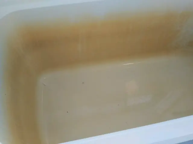 [業歴20年]お風呂のカビ、水アカ、浴槽の変色などキレイに致します。サービスの画像