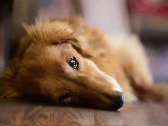 好きと物語を撮影。10年後そして20年後に新たな感動に出会える写真。