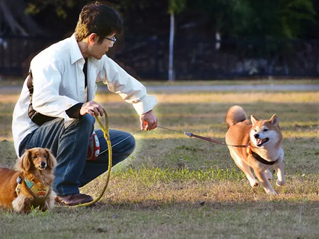 好きと物語を撮影。10年後そして20年後に新たな感動に出会える写真。
