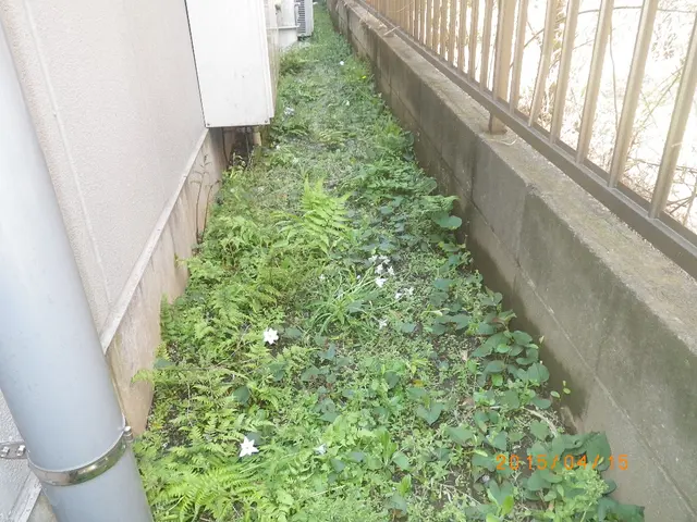 【駐車場代無料・外注無し】27年のベテラン庭師の私が伺います！サービスの画像