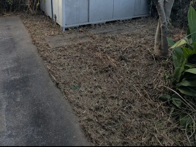 創業100年以上の信頼と実績！安全第一でお庭を美しく整えますサービスの画像