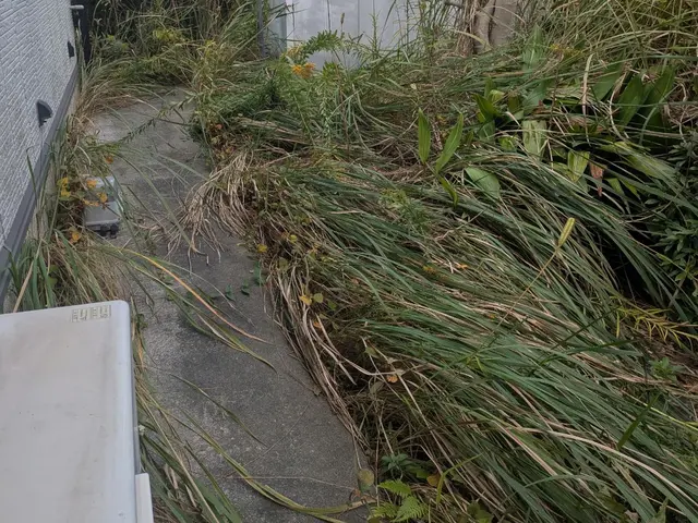 創業100年以上の信頼と実績！安全第一でお庭を美しく整えますサービスの画像