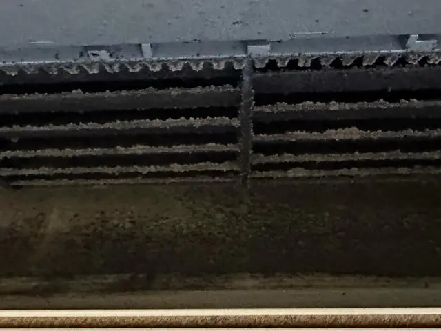 スチーマーと高圧洗浄機で落とします。サービスの画像