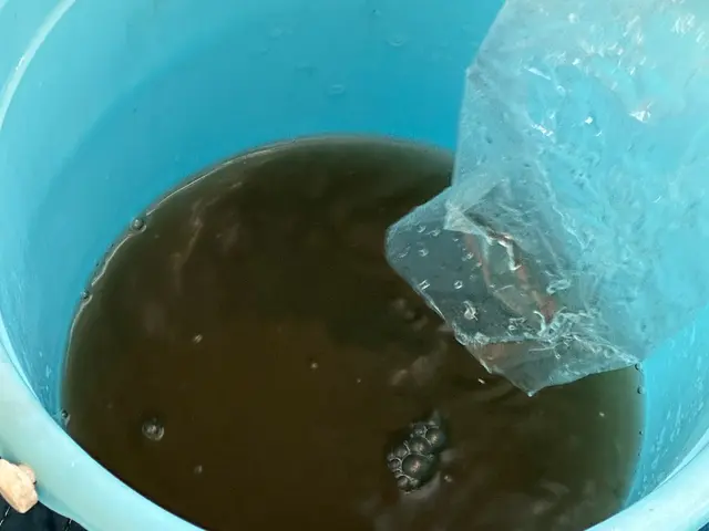 スチーマーと高圧洗浄機で落とします。サービスの画像