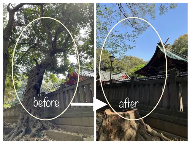 「顧客満足度賞」受賞！ご実家・荒れ庭 お悩みスッキリ♪どんな困難も！動画でご案内サービスの画像