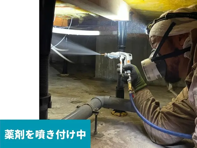 ★キャンペーン実施中★5年保証付！業歴15年の防除施工士が伺います！！サービスの画像