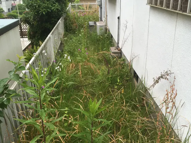 ＜年中無休＞お庭のお手入れおまかせ下さい！実績豊富なスタッフがお伺いします◎サービスの画像