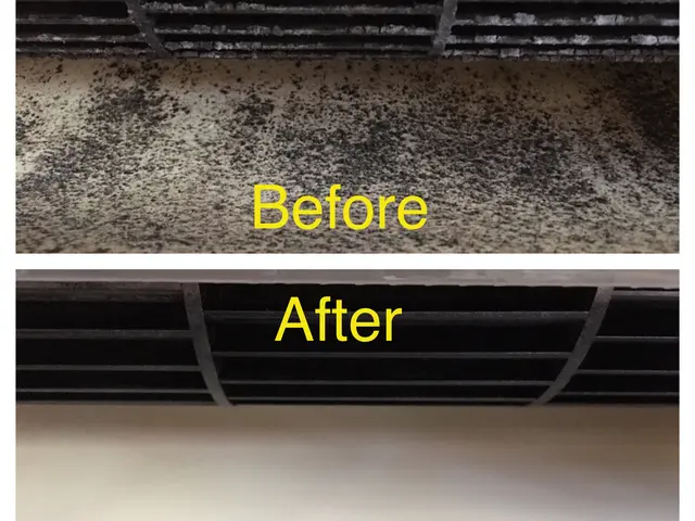 2019顧客満足賞受賞◆ウィルス対策、衛生管理強化店◆次亜塩素酸水で洗浄、消サービスの画像