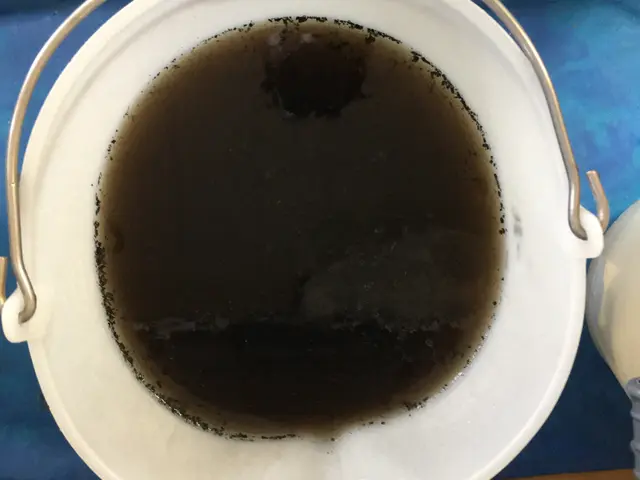 2019顧客満足賞受賞◆ウィルス対策、衛生管理強化店◆次亜塩素酸水で洗浄、消サービスの画像