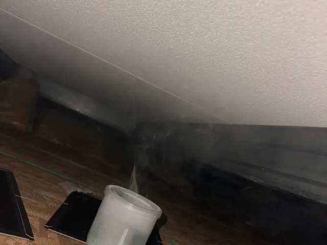 ネズミ対策工事サービスの画像