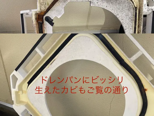 ◆店長の私がお伺いします◎大手業務経験豊富◎アフターフォローもばっちり！サービスの画像