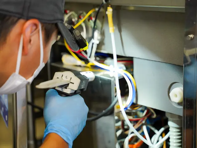 完全駆除で1年間保証プラン！キッチン徹底管理！日本一の技術！駆除の国家資格取得！サービスの画像