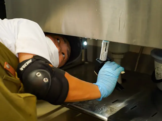 完全駆除で1年間保証プラン！キッチン徹底管理！日本一の技術！駆除の国家資格取得！サービスの画像