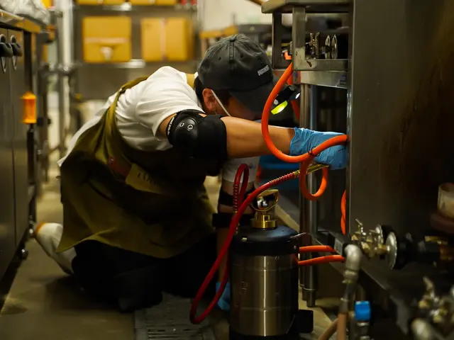 完全駆除で1年間保証プラン！キッチン徹底管理！日本一の技術！駆除の国家資格取得！サービスの画像