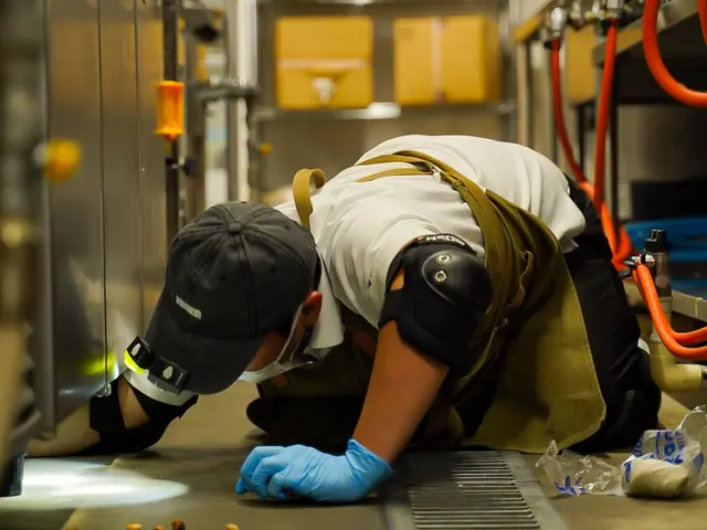 完全駆除で1年間保証プラン！キッチン徹底管理！日本一の技術！駆除の国家資格取得！サービスの画像