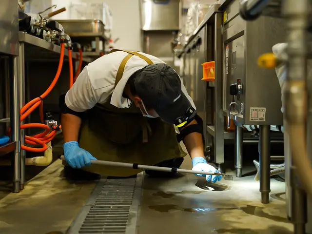 完全駆除で1年間保証プラン！キッチン徹底管理！日本一の技術！駆除の国家資格取得！サービスの画像