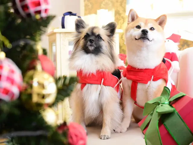 【さいたま市大宮区発】女性スタッフ同行OK◎駐車代当店負担◎仕上がり保証付き