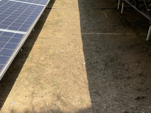 草刈りならお任せ下さいサービスの画像