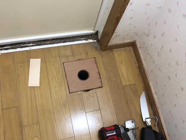 防水パン（洗浄パン）撤去、排水床トラップ設置（防水パン交換工事は、お受けしませんサービスの画像