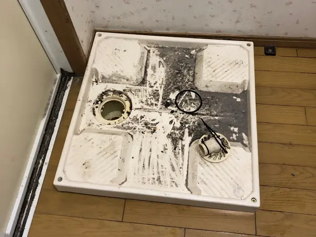 防水パン（洗浄パン）撤去、排水床トラップ設置（防水パン交換工事は、お受けしませんサービスの画像