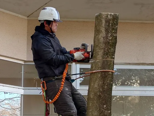 伐採歴10年の実績◎機械が入らない狭い所でも対応可能なのでお任せください！サービスの画像