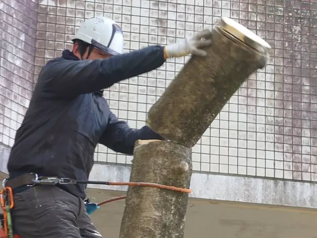 伐採歴10年の実績◎機械が入らない狭い所でも対応可能なのでお任せください！サービスの画像