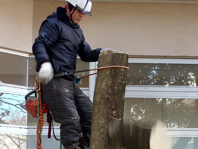 伐採歴10年の実績◎機械が入らない狭い所でも対応可能なのでお任せください！サービスの画像