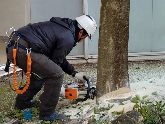 伐採歴10年の実績◎機械が入らない狭い所でも対応可能なのでお任せください！サービスの画像