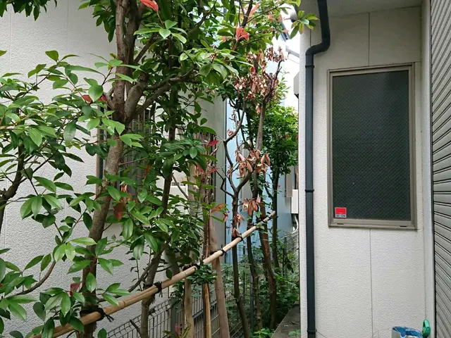 【職人歴10年以上の経験】◆年中無休◆駐車代お店負担◆損害保険加入店◆サービスの画像