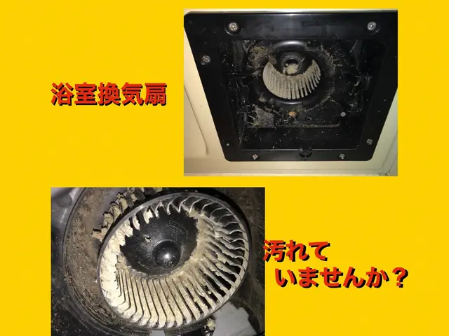 カビと水垢でお困りなら専用洗剤で徹底洗浄‼︎しつこい汚れがキレイになります！サービスの画像