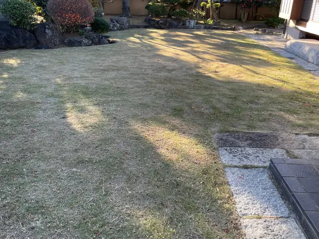 芝刈り費用込！24800円〜 プロの技でエアレーションと栄養剤散布、美しい芝生にサービスの画像