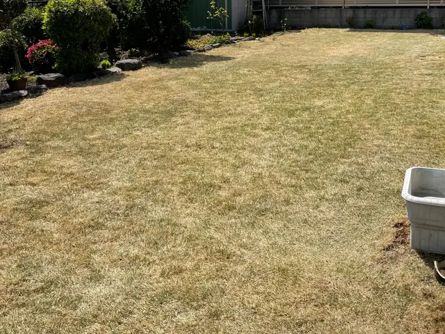 芝刈り費用込！24800円〜 プロの技でエアレーションと栄養剤散布、美しい芝生にサービスの画像