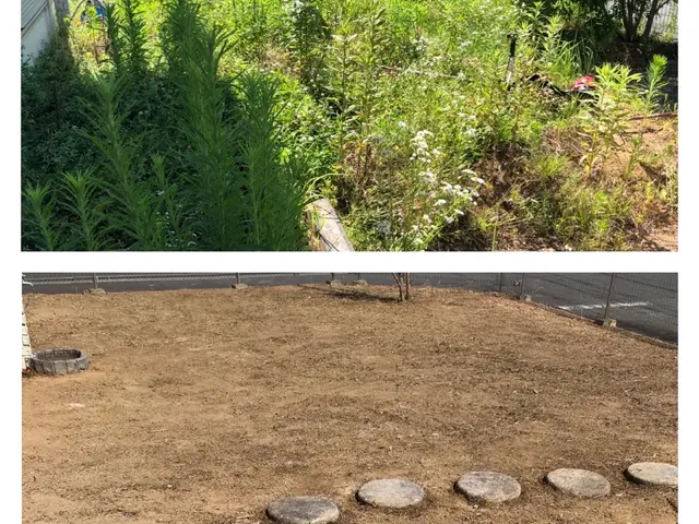 ◆龍ケ崎市発◆予約から作業まで完全自社対応★丁寧安心安全をもっとーに★サービスの画像