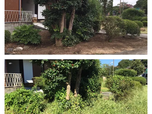 ◆龍ケ崎市発◆予約から作業まで完全自社対応★丁寧安心安全をもっとーに★サービスの画像