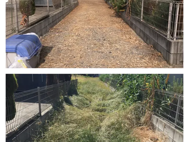 ◆龍ケ崎市発◆予約から作業まで完全自社対応★丁寧安心安全をもっとーに★サービスの画像