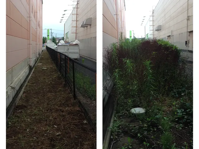 ◆龍ケ崎市発◆予約から作業まで完全自社対応★丁寧安心安全をもっとーに★サービスの画像