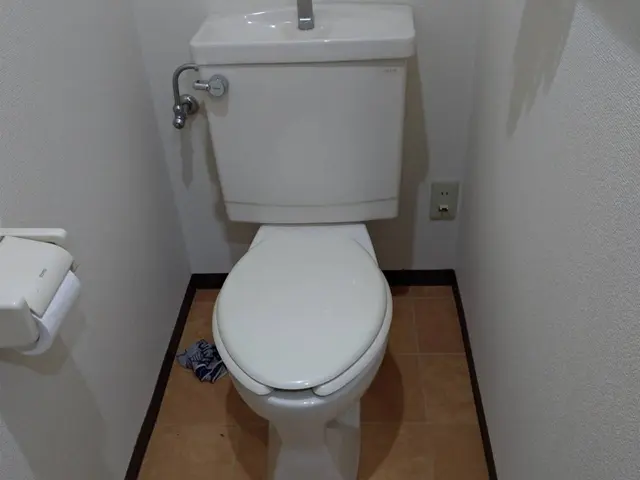 【当日•翌日対応相談可】【東京発】温水洗浄便座取り外し【引き取り不可】サービスの画像