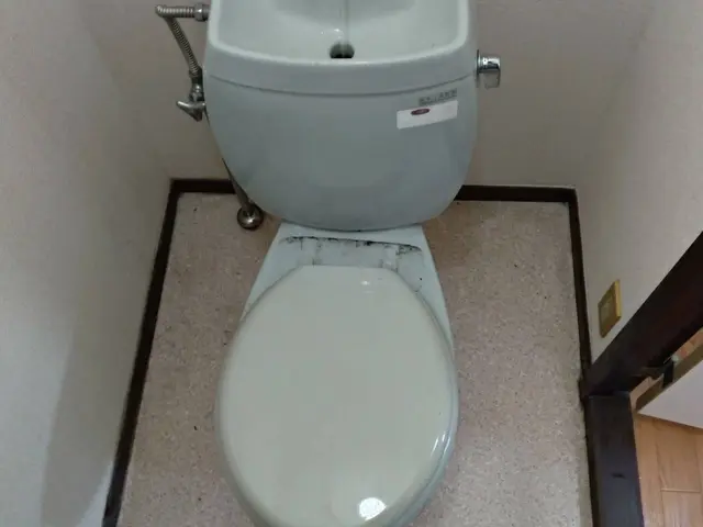 【当日•翌日対応相談可】【東京発】温水洗浄便座取り外し【引き取り不可】サービスの画像