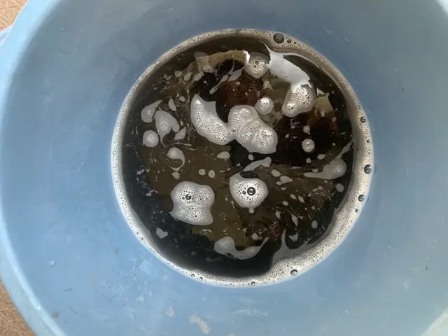 ★元保育士の店長☆損害保険加入店舗★完全分解対応店舗☆コーティング込みの価格★サービスの画像