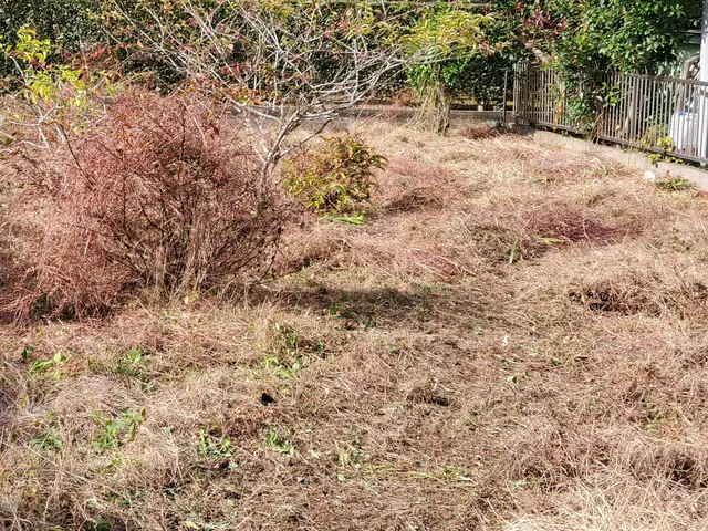 ㎡数ににより値引き有り！（詳しいサービス内容参照）　処分代込価格ですサービスの画像