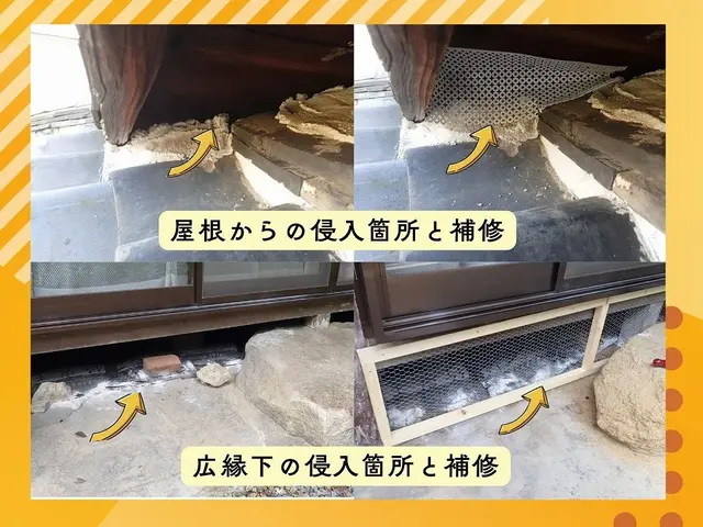 茨木より。20数年の経験【ブロック処理は５年の施工保証】春の出産期前に対策を！サービスの画像