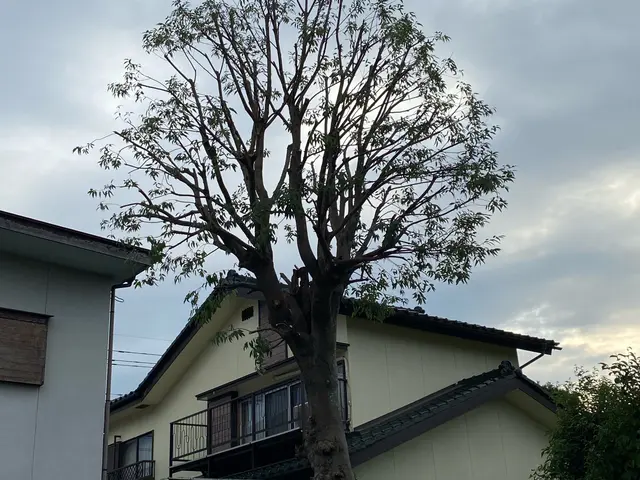 造園のプロフェッショナルが丁寧に仕上げる！リピート率◎確かな実績と信頼のサービスサービスの画像