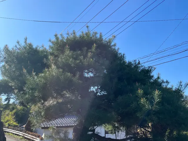 造園のプロフェッショナルが丁寧に仕上げる！リピート率◎確かな実績と信頼のサービスサービスの画像