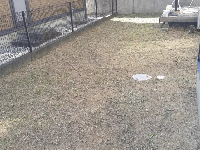 創業200年を越える老舗で10年以上修行をした店主！サービスの画像