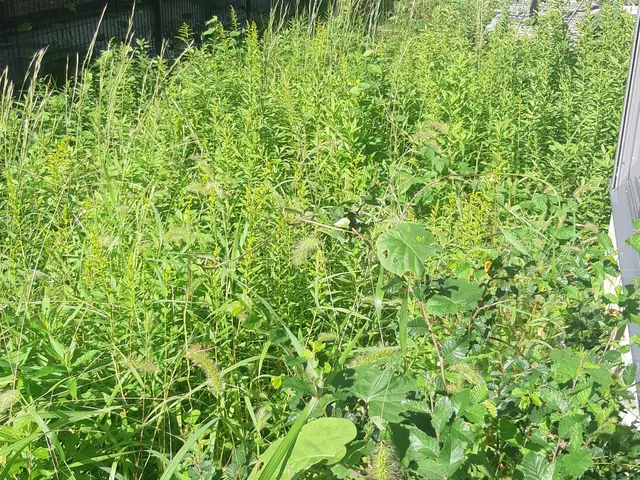 創業200年を越える老舗で10年以上修行をした店主！サービスの画像