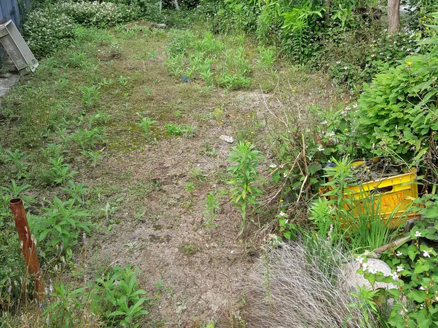 創業200年を越える老舗で10年以上修行をした店主！サービスの画像