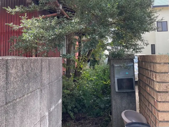 草刈り（草刈機）サービスの画像