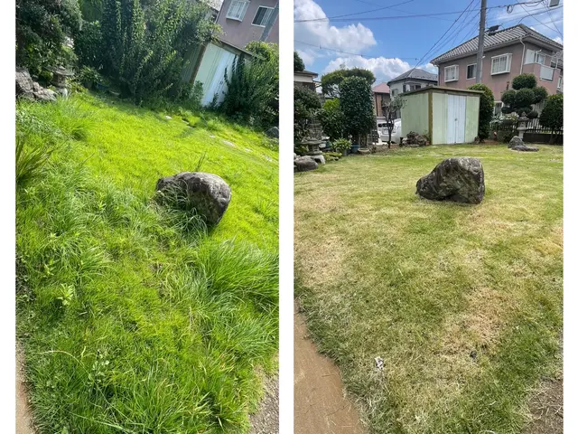 草刈り（草刈機）サービスの画像