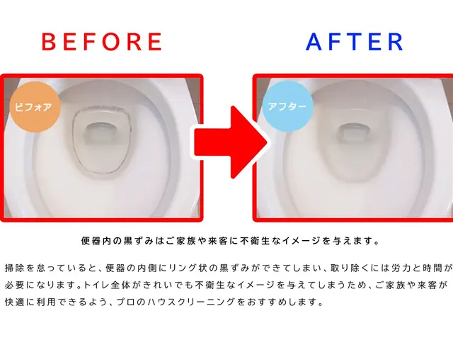 ◆トイレ掃除★福島県密着★100%自社対応★年中無休★エコ洗剤◆安心の損害保険加サービスの画像