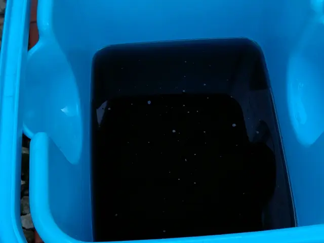 『壁掛け式エアコンはおそうじ機能無しに限定』即刻カビ退治!抗菌コート別途3千円サービスの画像